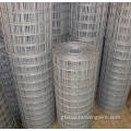 Welded Wire Mesh Hot dipped galvanized welded mesh Factory